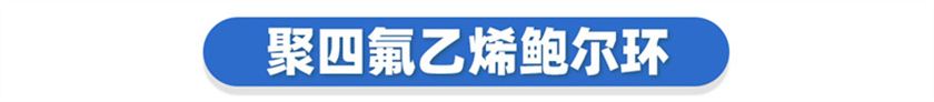 PFA鲍尔环 (3).jpg